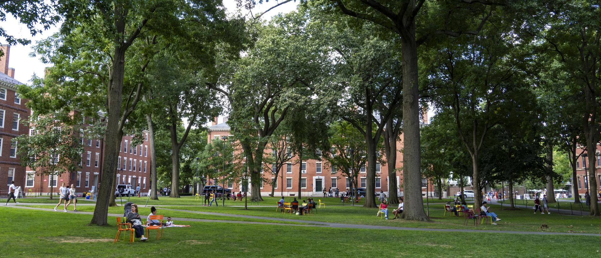 People gathered in Harvard Yard in the summer.